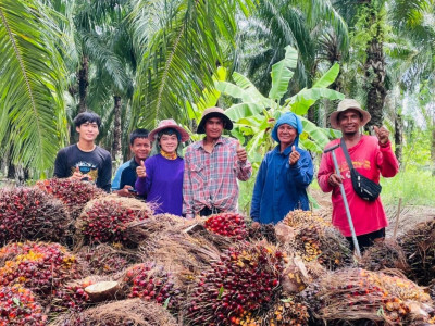 ชุมนุมสหกรณ์ชาวสวนปาล์มน้ำมันกระบี่ จำกัด ... พารามิเตอร์รูปภาพ 12